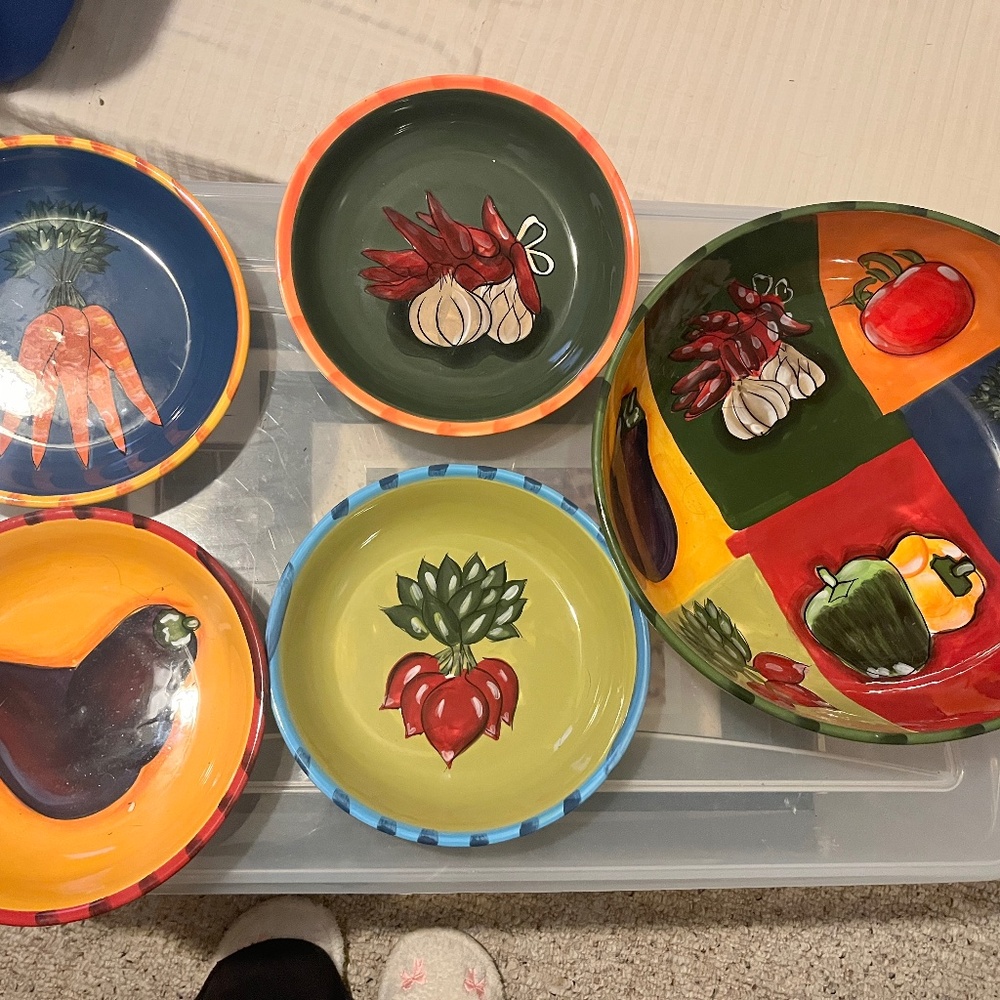 Jennifer Clark Pasta bowl set Certified International